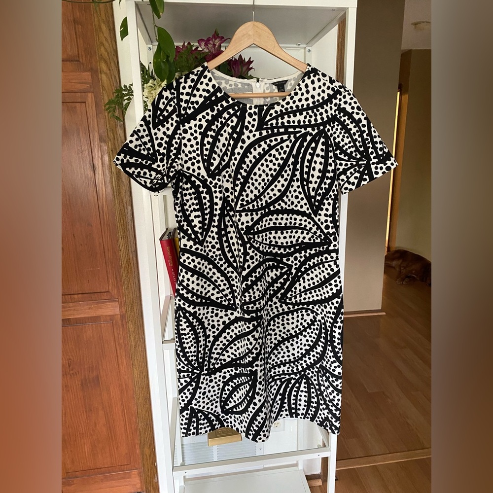 Ann Taylor dress